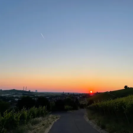 Erlenbach Ortsrand Am Kayberg *