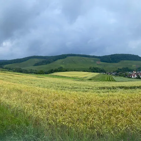 Erlenbach Ortsrand Am Kayberg アパート Erlenbach (Heilbronn)