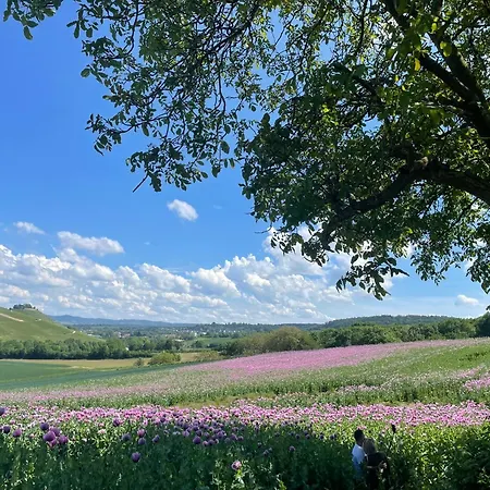 Erlenbach Ortsrand Am Kayberg *