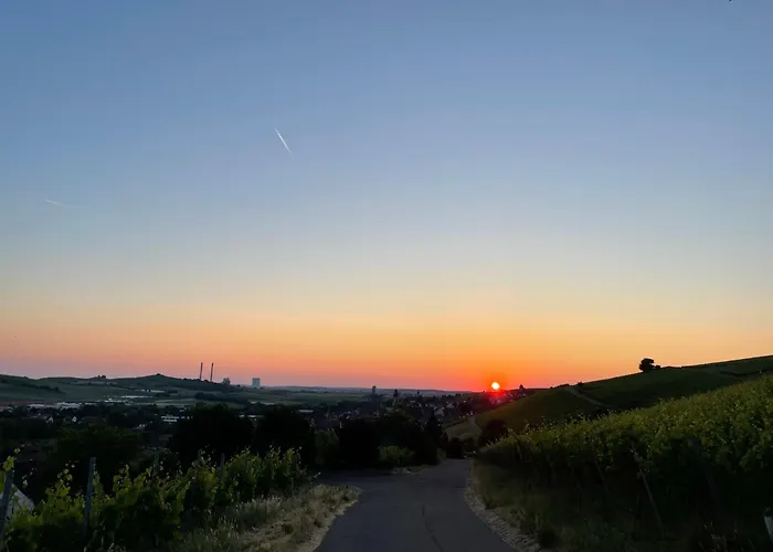 Erlenbach Ortsrand Am Kayberg *
