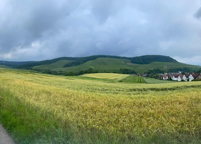 Erlenbach Ortsrand Am Kayberg Апартаменты Erlenbach (Heilbronn)