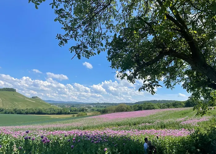 Erlenbach Ortsrand Am Kayberg *